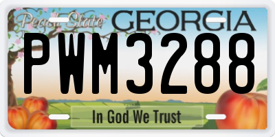 GA license plate PWM3288