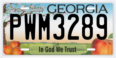 GA license plate PWM3289