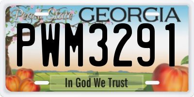 GA license plate PWM3291