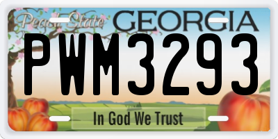 GA license plate PWM3293