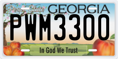 GA license plate PWM3300