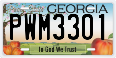 GA license plate PWM3301