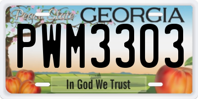 GA license plate PWM3303
