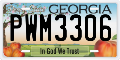 GA license plate PWM3306