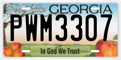 GA license plate PWM3307