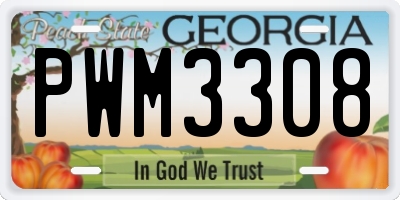 GA license plate PWM3308