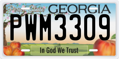 GA license plate PWM3309