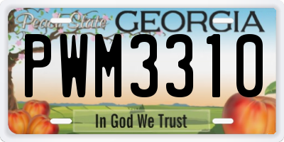GA license plate PWM3310