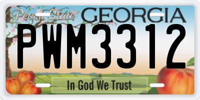 GA license plate PWM3312
