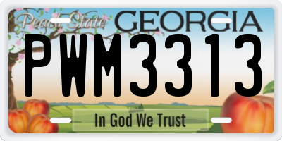 GA license plate PWM3313