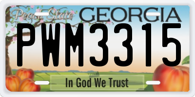 GA license plate PWM3315