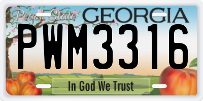 GA license plate PWM3316