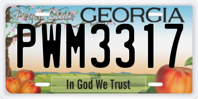 GA license plate PWM3317