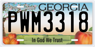 GA license plate PWM3318