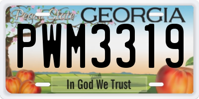GA license plate PWM3319