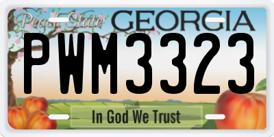GA license plate PWM3323