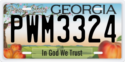 GA license plate PWM3324