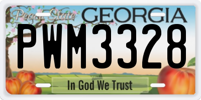 GA license plate PWM3328
