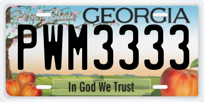 GA license plate PWM3333