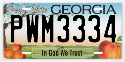 GA license plate PWM3334