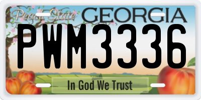 GA license plate PWM3336