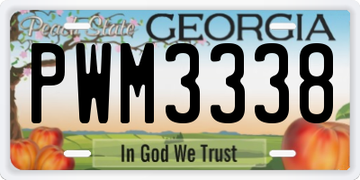 GA license plate PWM3338