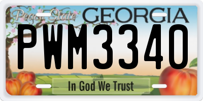 GA license plate PWM3340