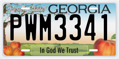 GA license plate PWM3341