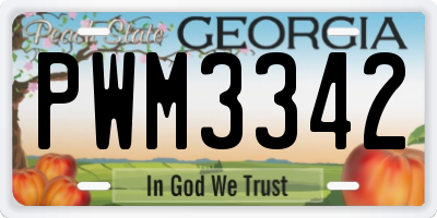 GA license plate PWM3342