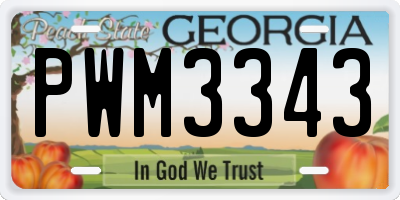 GA license plate PWM3343