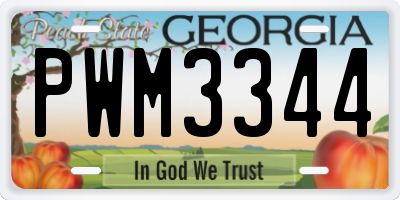 GA license plate PWM3344