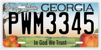 GA license plate PWM3345