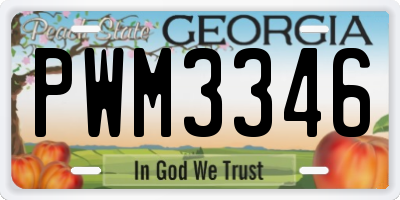 GA license plate PWM3346