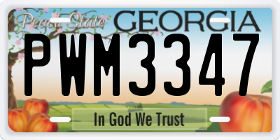 GA license plate PWM3347