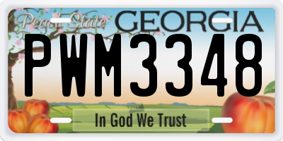 GA license plate PWM3348