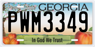GA license plate PWM3349