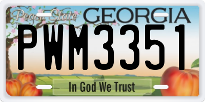 GA license plate PWM3351