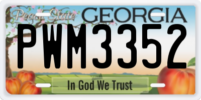 GA license plate PWM3352