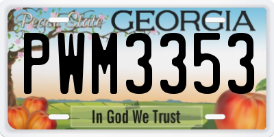 GA license plate PWM3353