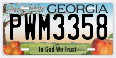 GA license plate PWM3358