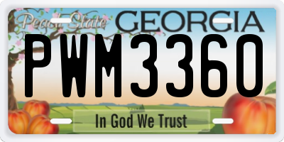 GA license plate PWM3360