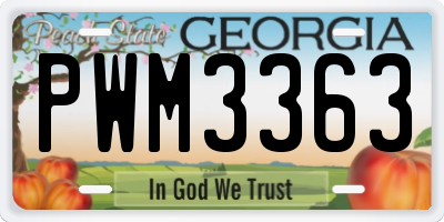 GA license plate PWM3363