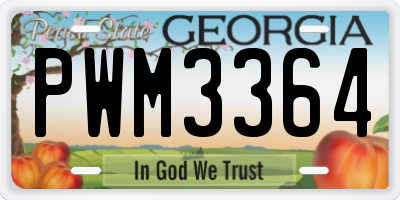GA license plate PWM3364