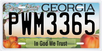GA license plate PWM3365