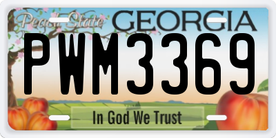 GA license plate PWM3369