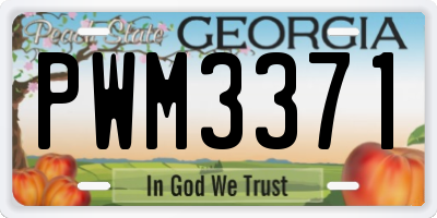 GA license plate PWM3371