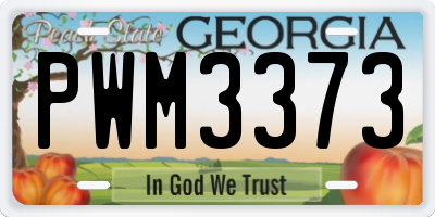 GA license plate PWM3373