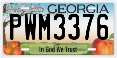 GA license plate PWM3376