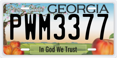 GA license plate PWM3377
