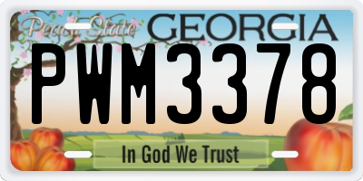 GA license plate PWM3378